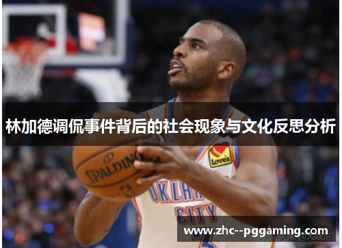 林加德调侃事件背后的社会现象与文化反思分析