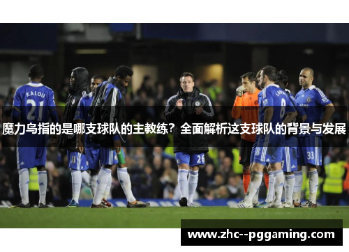 魔力鸟指的是哪支球队的主教练？全面解析这支球队的背景与发展