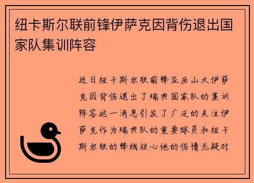 纽卡斯尔联前锋伊萨克因背伤退出国家队集训阵容